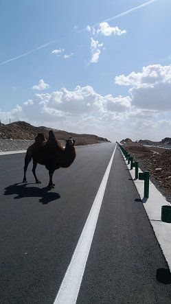MMA High-light road marking paint used in G7 highway